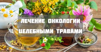 Лечение онкологических заболеваний народными средствами Лечение онкологических заболеваний народными средствами